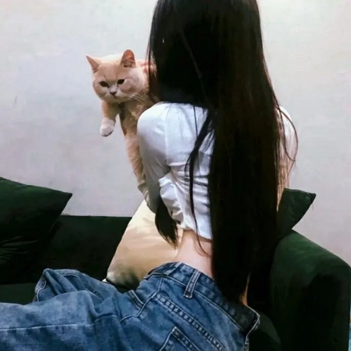 囧探查过界粤语